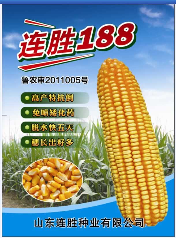 连胜188