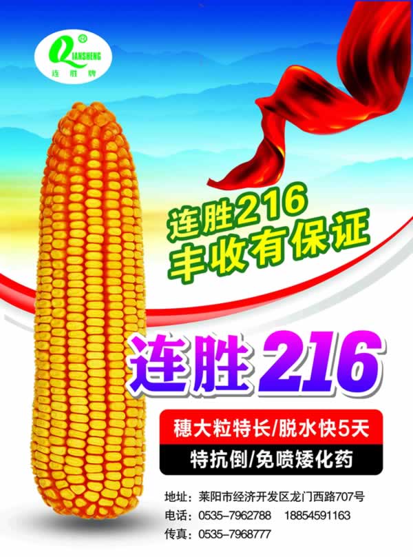 连胜216